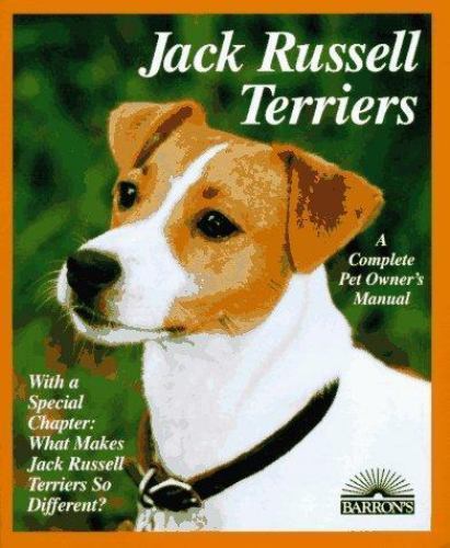 Jack russell terriers - jack,