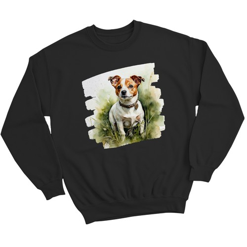 Jack russell dog - jack,