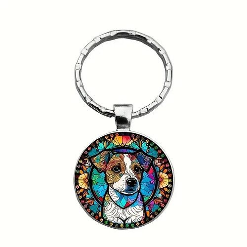 Jack russell dog pet - dog,