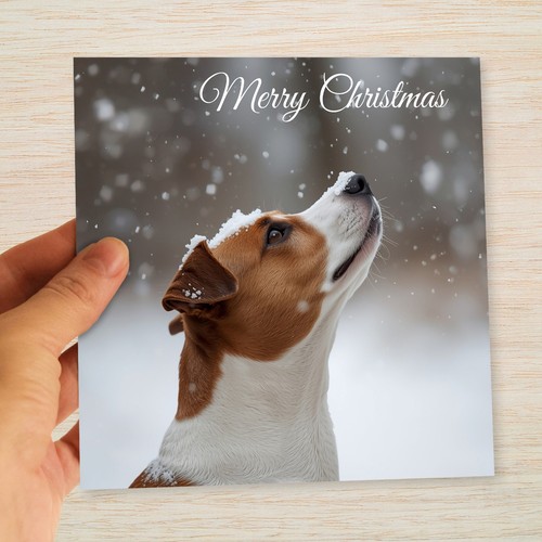 Jack russell christmas - jack, &