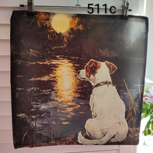 Jack russell moonlight soft - in,