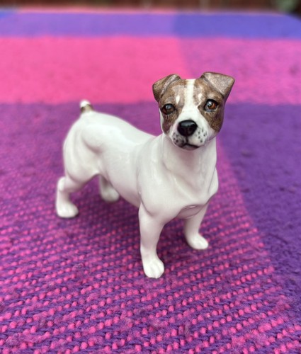 Vintage beswick jack russell - jack,