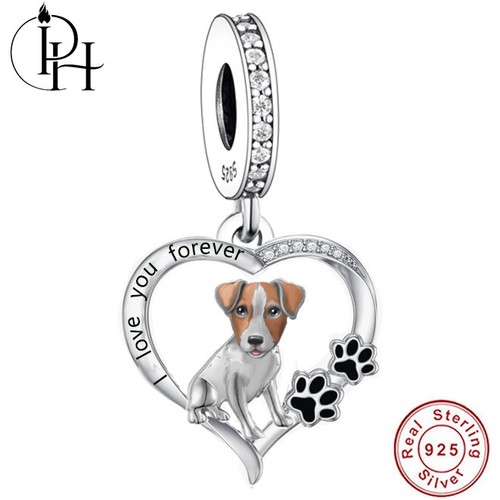 Jack russell terrier - terrier, dog