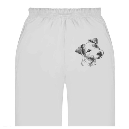 Jack russell terrier adult - terrier',