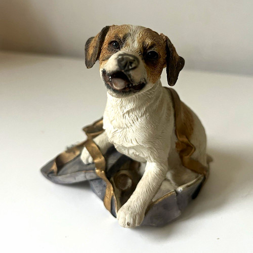 Jack russell terrier dog in - jack,