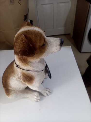 Vivid arts jack russell - vivid,