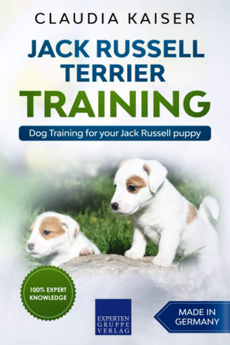 Jack russell terrier - jack, training