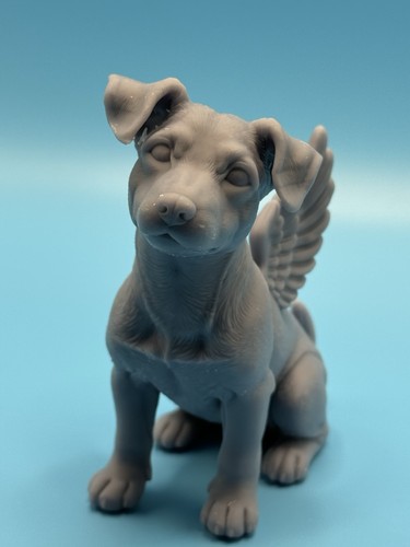 Jack russell terrier angel - jack,