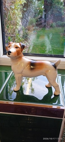 Vintage dog jack russell - dog,