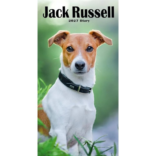 Carousel worldwide 2027 jack - worldwide,
