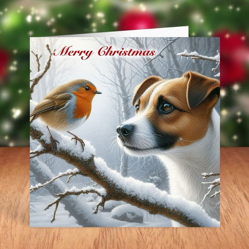 Jack russell terrier - jack,