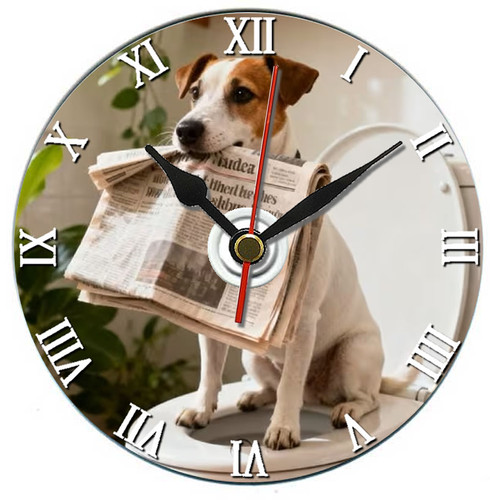 Jack russell terrier dog - russell,
