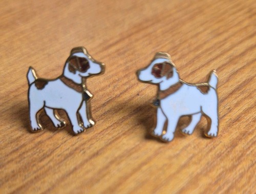 Jack russell stud - russell,