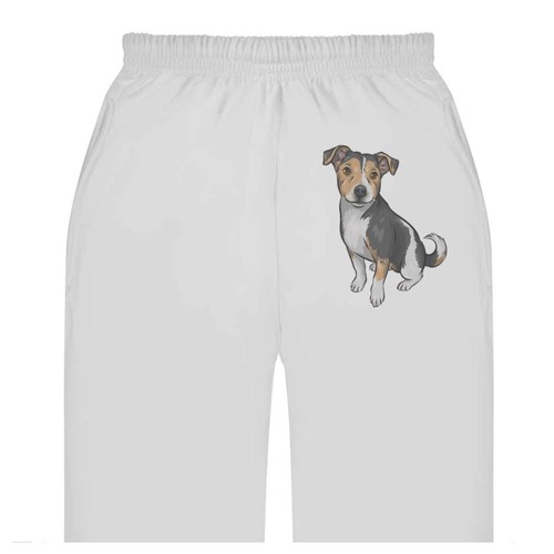 Jack russell terrier adult - 'jack,