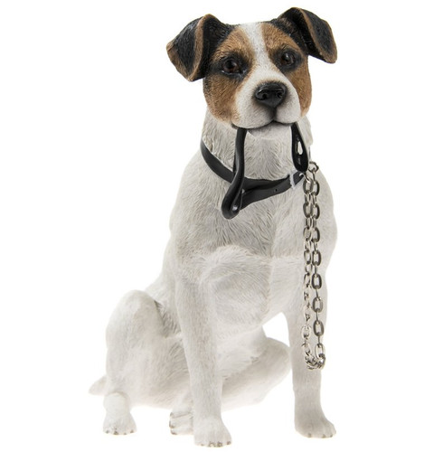 Charming jack russell - charming,