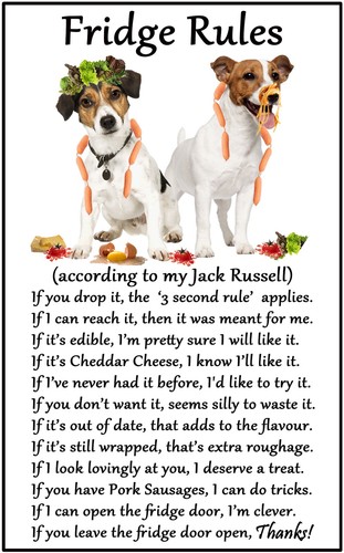 Jack russell dog gift fridge - russell,