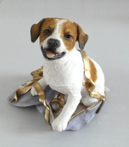 Jack russell terrier - jack, model