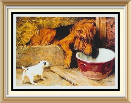 Cool dignity dogs - cool, bloodhound
