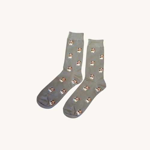 Jack russell terrier socks dog - socks,