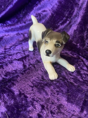 Vintage jack russell terrier - vintage,