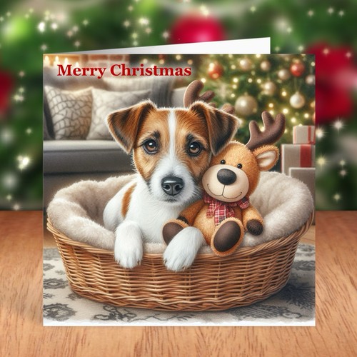 Jack russell terrier - russell, dog