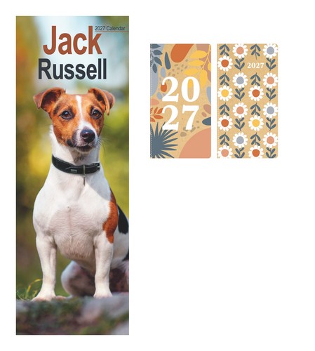 Jack russell slim - jack,