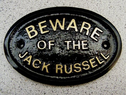 Jack russell beware dog - , sign