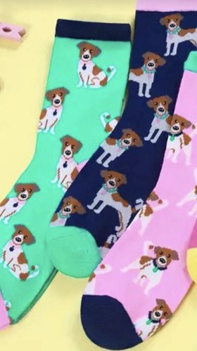 Womens ladies jack russell - jack,