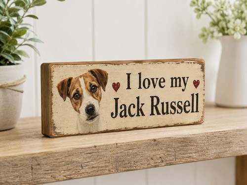 Jack russell dog - jack,