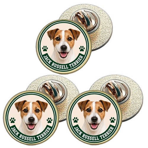 Jack russell terrier dog - jack,