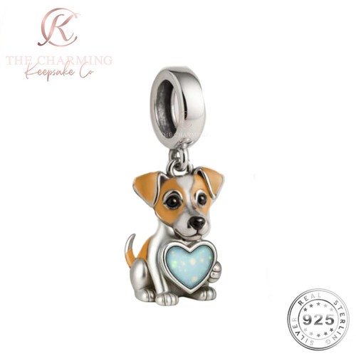 Jack russell terrier dog - russell,