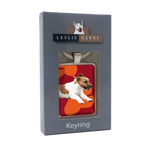 Jack russell terrier - jack,