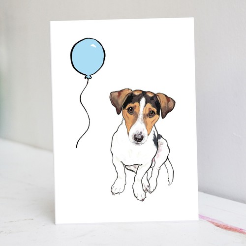Tricolour jack russell - jack,
