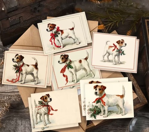 Pack jack russell - pack, christmas
