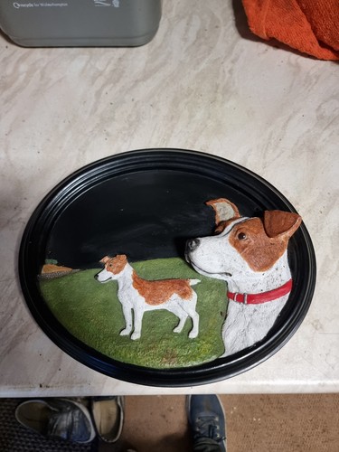 Jack russell house number - jack,