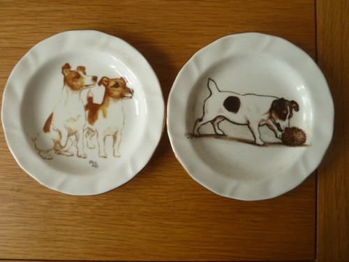 Louise wood jack russell - 2,