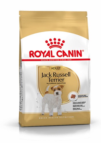 Jack russell terrier adult dry - jack,