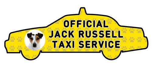 Funny jack russell dog - funny,