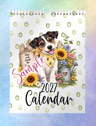 Jack russell terrier - russell,