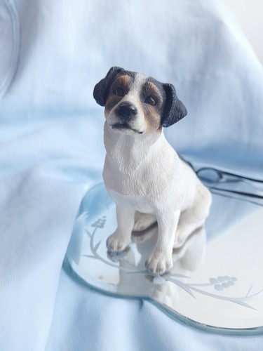 Jack russell dog - russell,
