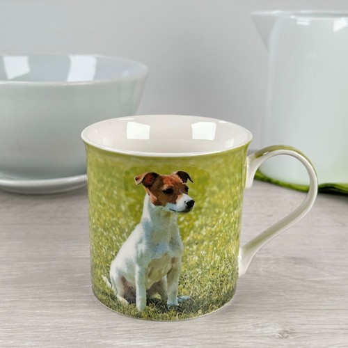Jack russell mug leonardo - russell,