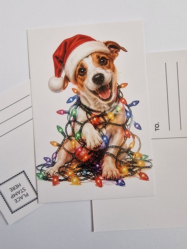 Jrt jack russell terrier - jack,