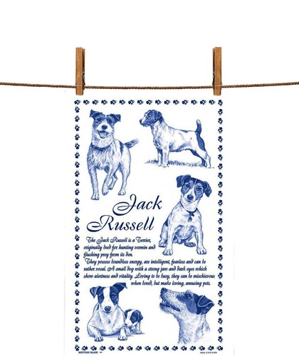 Jack russell white cotton - jack,