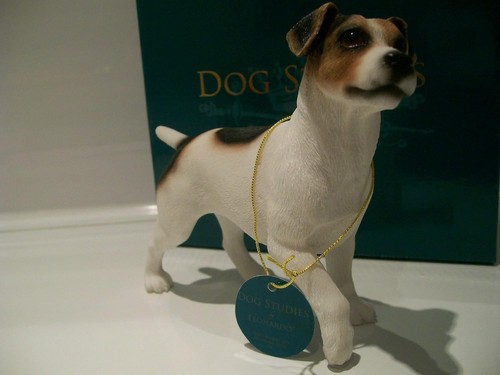 Luxury jack russell terrier - luxury,