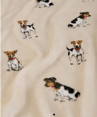 Jack russell terrier - russell,