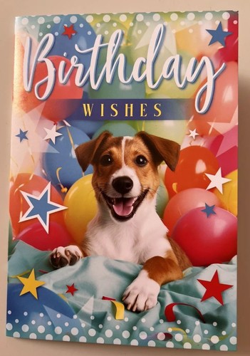 Cute jack russell terrier dog - ,