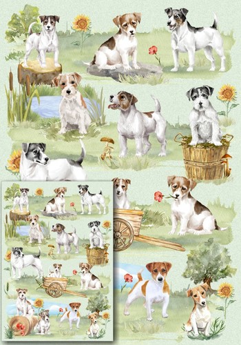Jack russell terrier dog gift - terrier,