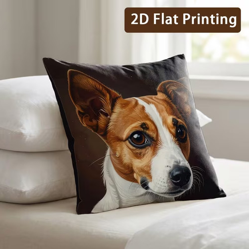 Jack russell terrier - 1,