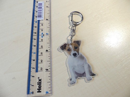 Jack russell dog keyring - dog,