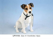 Jack Russell Terrier Dog